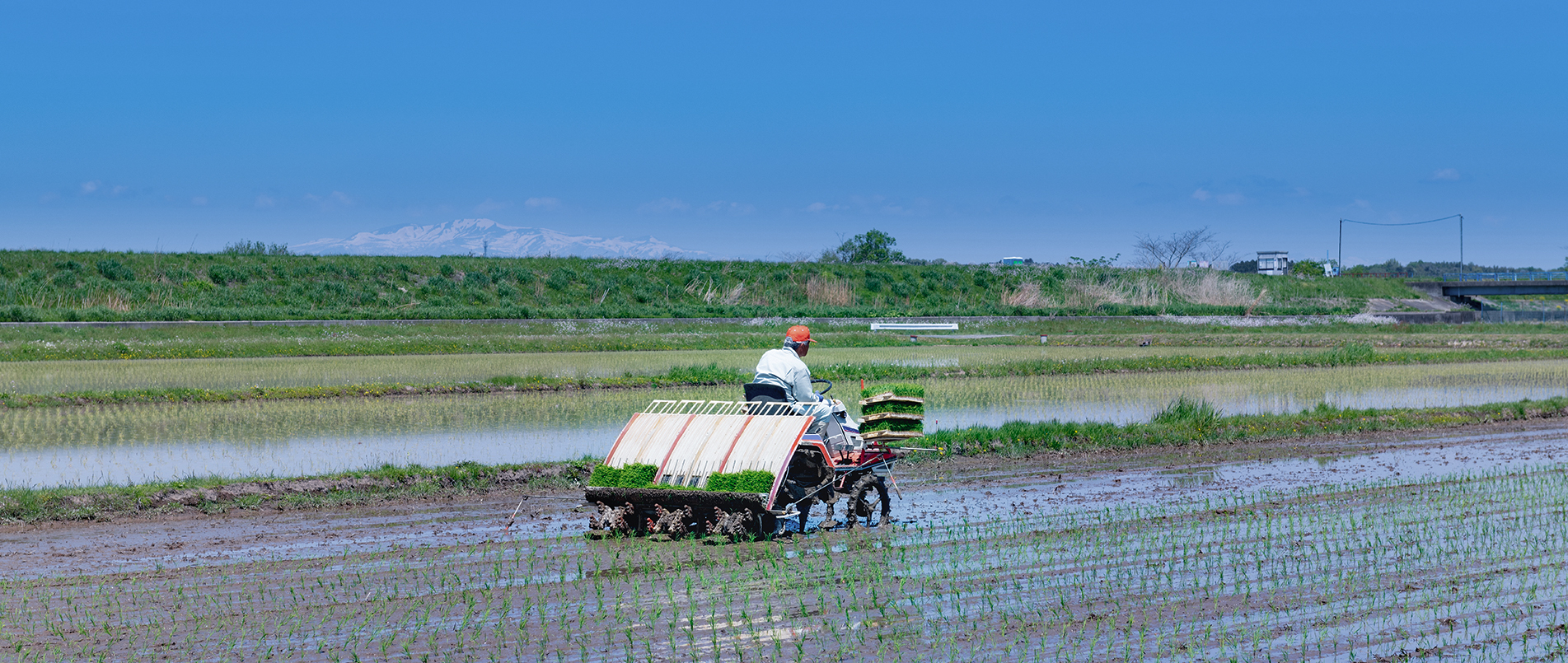 农机水田作业的“智慧大脑”——沃地泰FMA210，告别“经验种植”，开启精准高效农业之旅